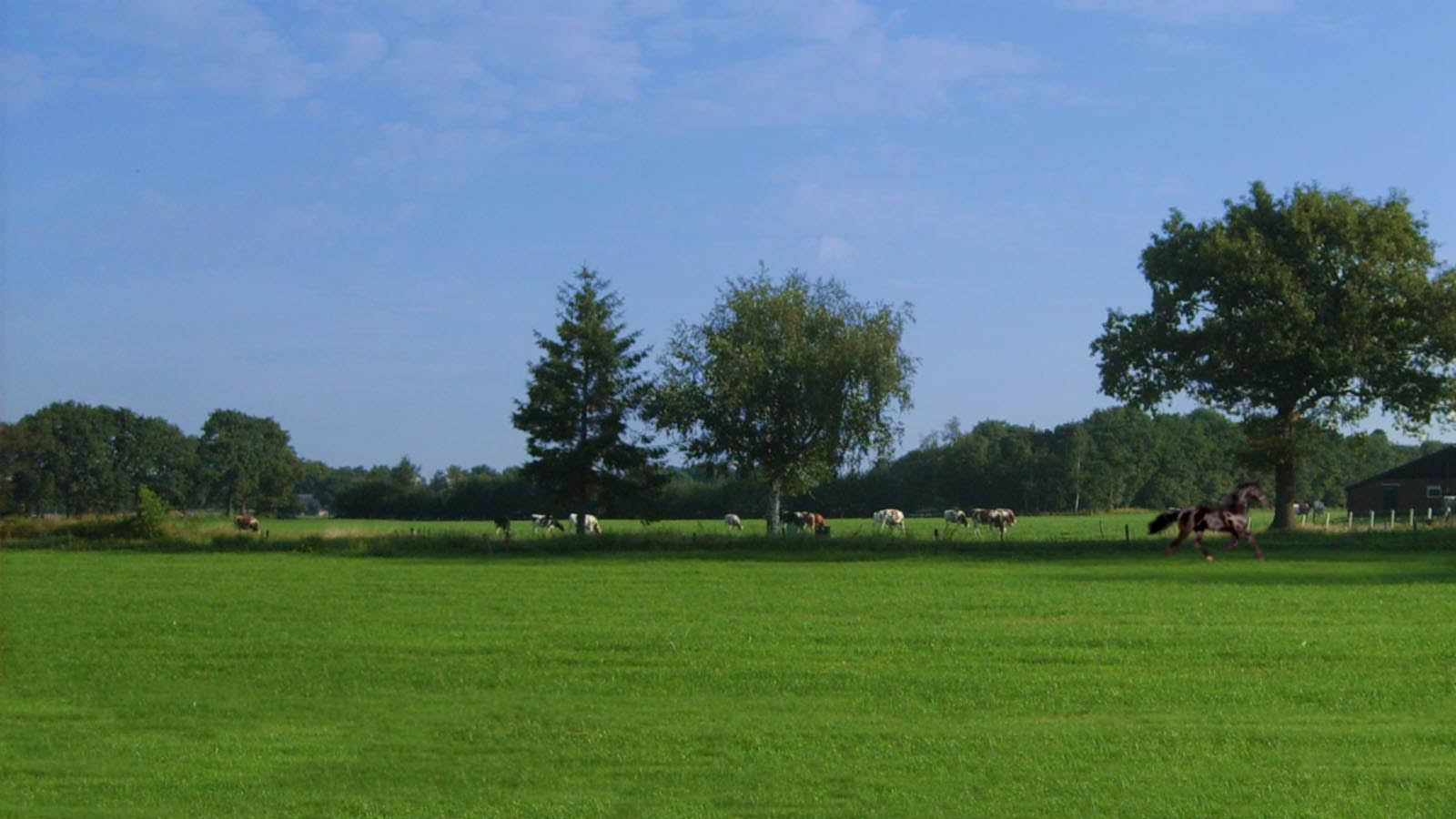 landelijk2